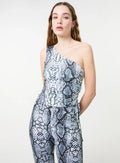 Snake Asymmetric Top