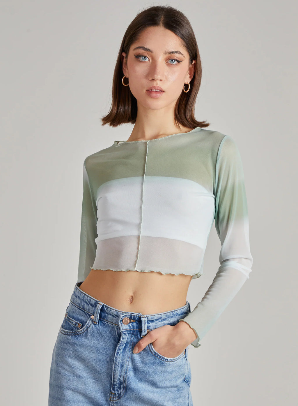 Ombre Exposed Long Sleeve Mesh Crop Top